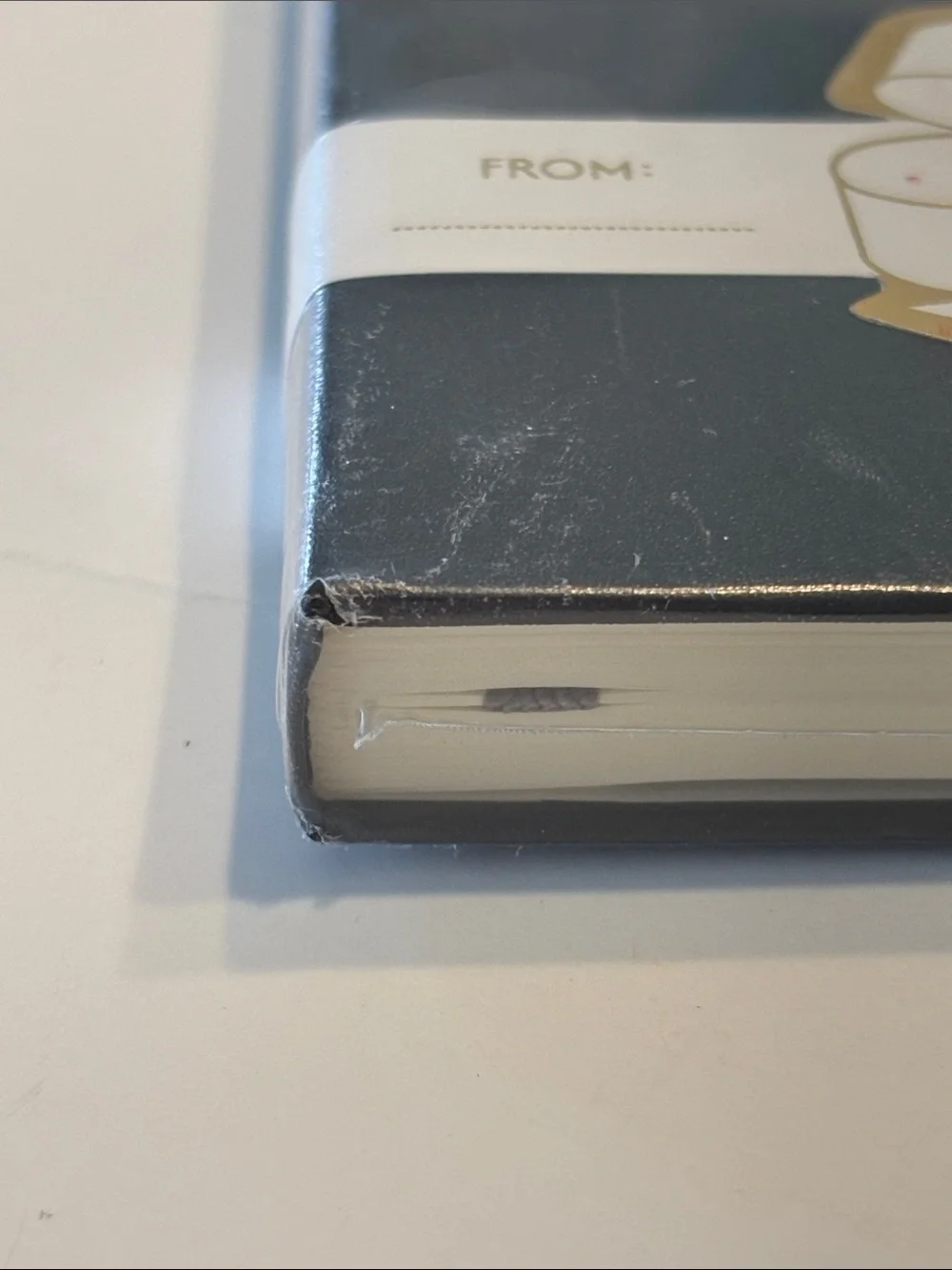 Moleskin Hard Cover Holiday Notebook in Black